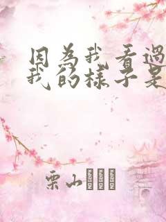 因为我看过你爱我的样子是什么歌