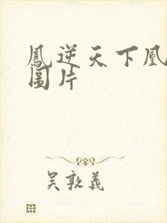 凤逆天下凰北月图片