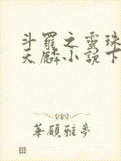 斗罗之灵珠神剑天麟小说下载