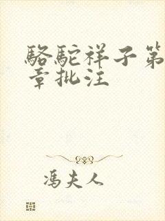 骆驼祥子第十三章批注