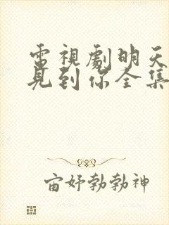 电视剧明天也想见到你全集在线观看