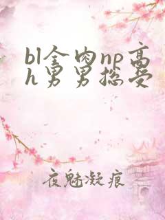 bl全肉np高h男男总受