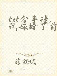 txt分手后,我嫁给了前男友的小叔