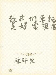 致我们单纯的小美好 电视剧