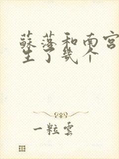 苏落和南宫流云生了几个