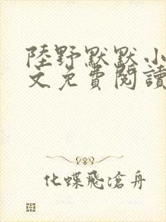 陆野默默小说全文免费阅读