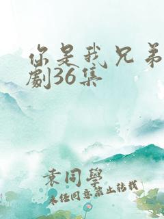 你是我兄弟电视剧36集