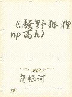 《骚野狐狸精(np高h)