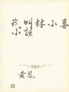 我叫林小喜全部小说