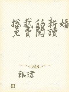 总裁的新婚秘爱免费阅读