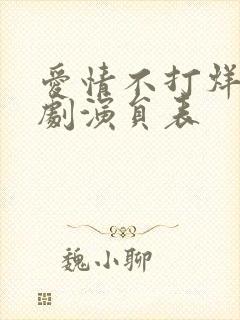 爱情不打烊电视剧演员表