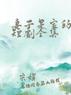 妻子是家的核心短剧全集