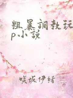 粗暴调教玩弄np小说