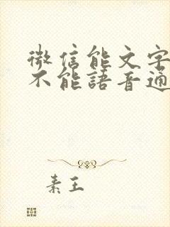 微信能文字聊天不能语音通话