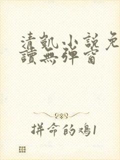 清凯小说免费阅读无弹窗