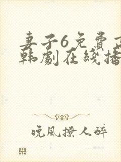 妻子6免费高清韩剧在线播放