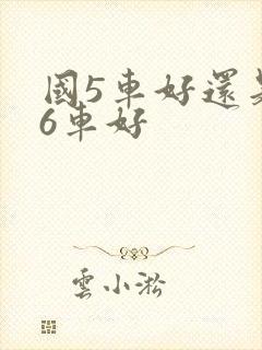 国5车好还是国6车好