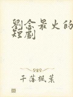 刘念最火的三部短剧