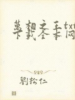 万相之王txt下载全本网盘