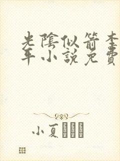 光阴似箭李艳傅平小说免费阅读