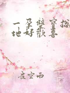 一孕双宝总裁爹地好欢喜