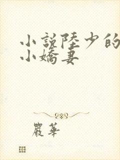 小说陆少的替嫁小娇妻
