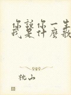 你说你一生只爱我是什么歌名