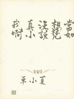 我真没想当皇帝啊小说梵如风