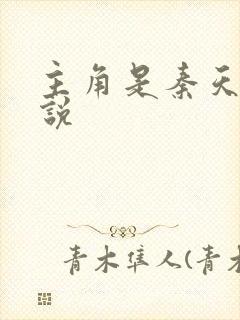 主角是秦天的小说