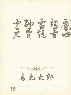 少帅电视剧全集免费观看西瓜