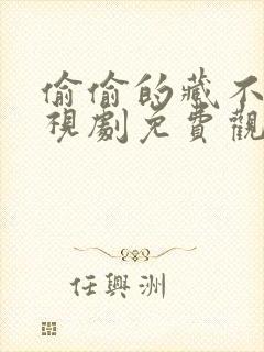 偷偷的藏不住电视剧免费观看