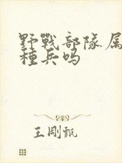 野战部队属于特种兵吗