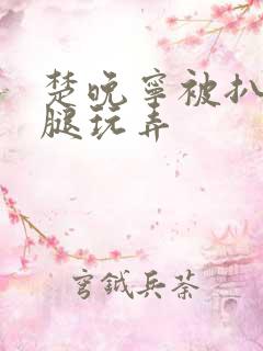 楚晚宁被扒开双腿玩弄