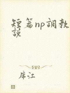 短篇np调教小说