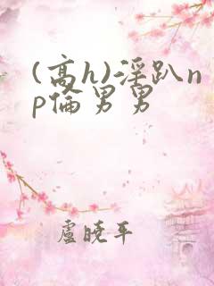 (高h)淫趴np伦男男