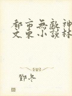 都市无敌神医徐文东小说林伊人