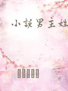 小说男主姓名