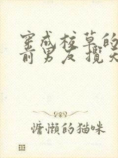 穿成校草的炮灰前男友 揽天星