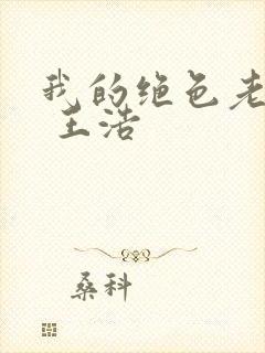 我的绝色老板娘 王浩