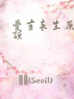 爱有来生原著小说