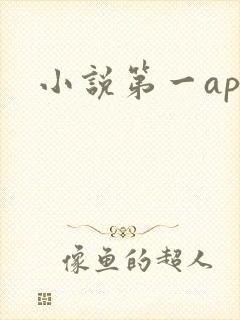 小说第一app