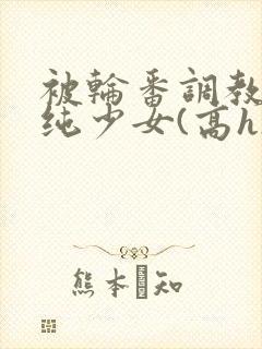 被轮番调教的清纯少女(高h)