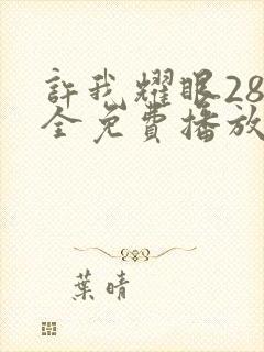 许我耀眼28集全免费播放