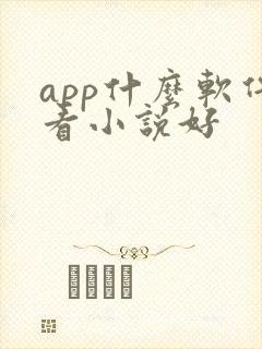 app什么软件看小说好