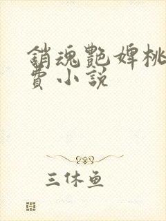 销魂艳婢桃儿免费小说