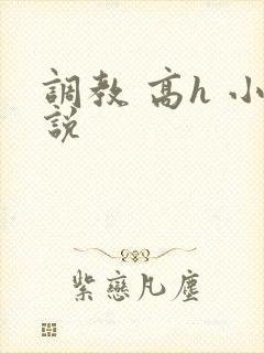 调教 高h 小说