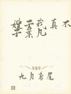 嫂子我真不是傻子叶凡