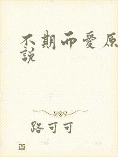 不期而爱原著小说