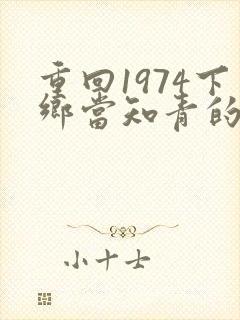 重回1974下乡当知青的小说