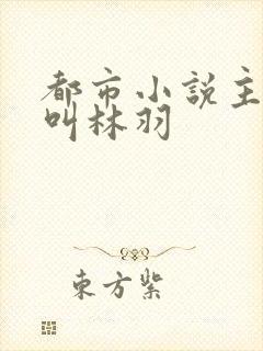 都市小说主人公叫林羽